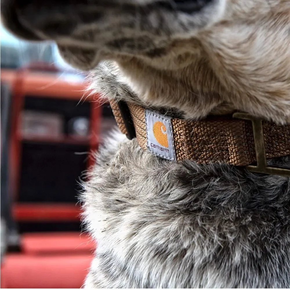 Brown Carhartt Dog Collar